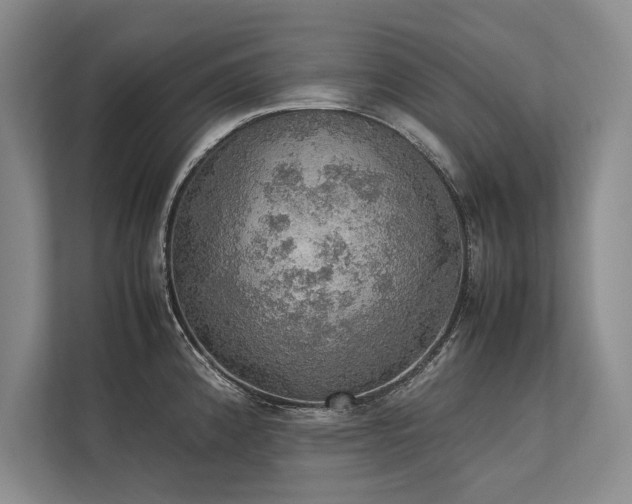 X0000113781192200909231309