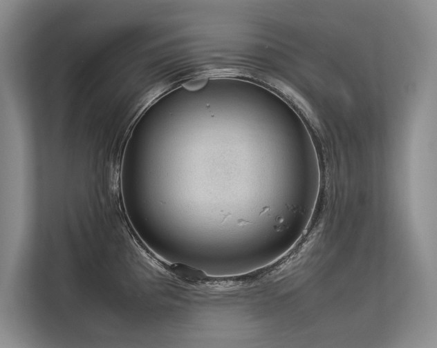 X0000113781193200909231309