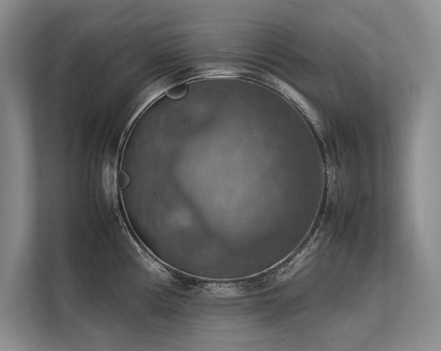 X0000113781194200909231309