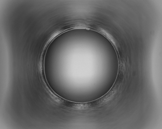 X0000113781195200909231309