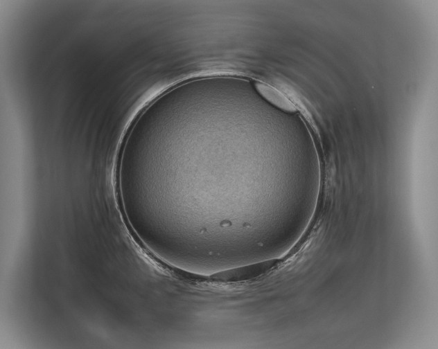 X0000113781197200909231309