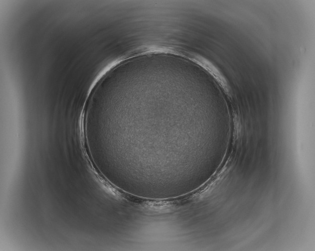 X0000113781198200909231309