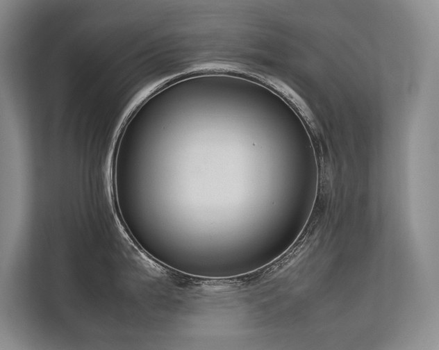 X0000113781199200909231309