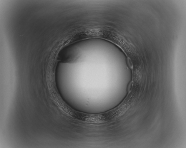 X0000113781201200909231308