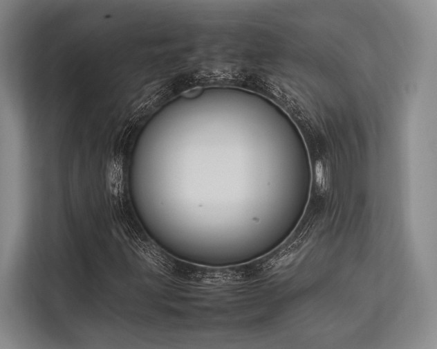X0000113781203200909231308