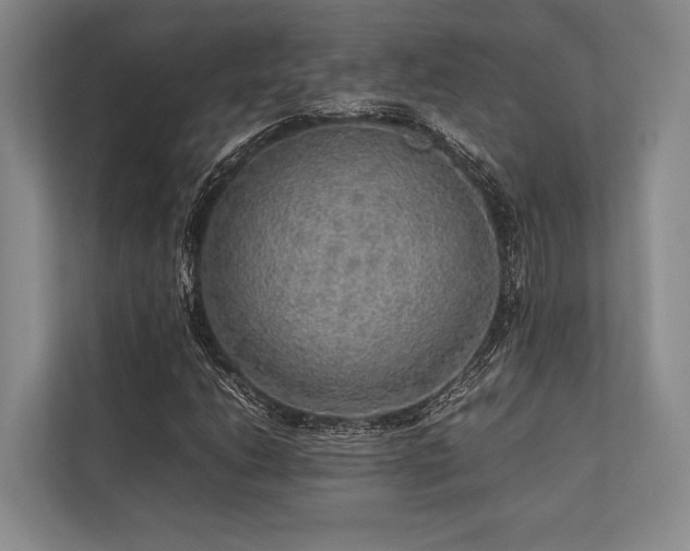 X0000113781206200909231308