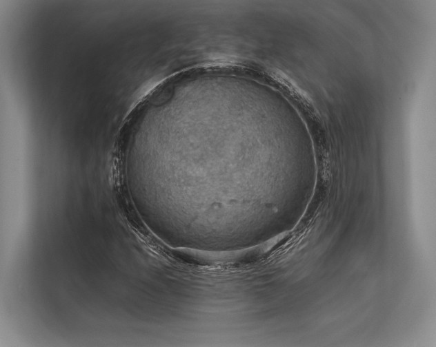 X0000113781208200909231308