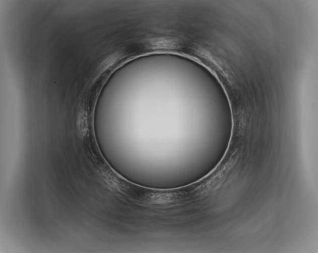 X0000113781211200909231308