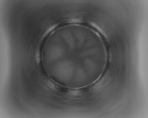 X0000113781213200909231308