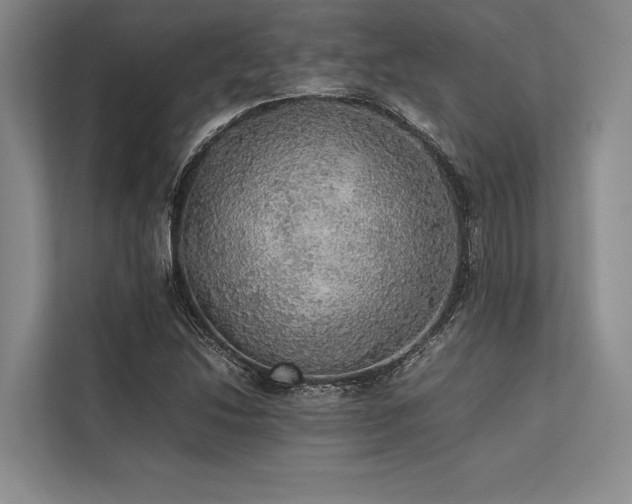 X0000113781214200909231308