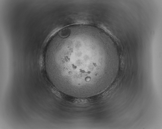X0000113781215200909231308