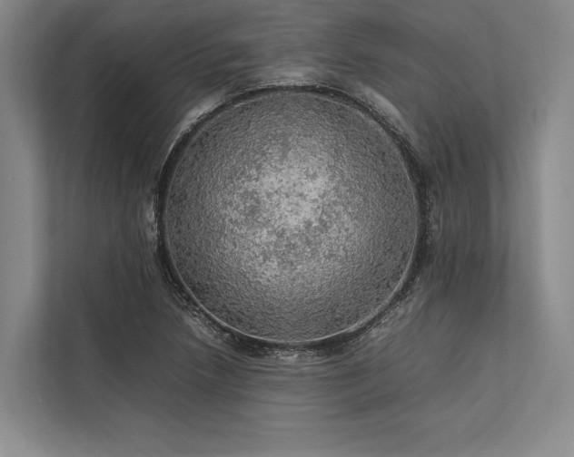 X0000113781218200909231308
