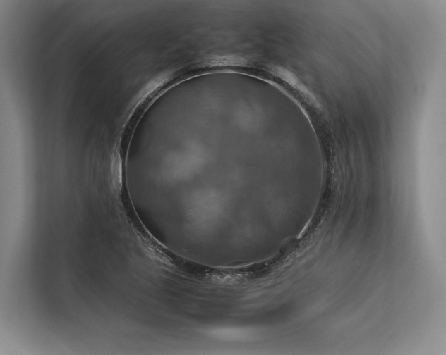 X0000113781221200909231309