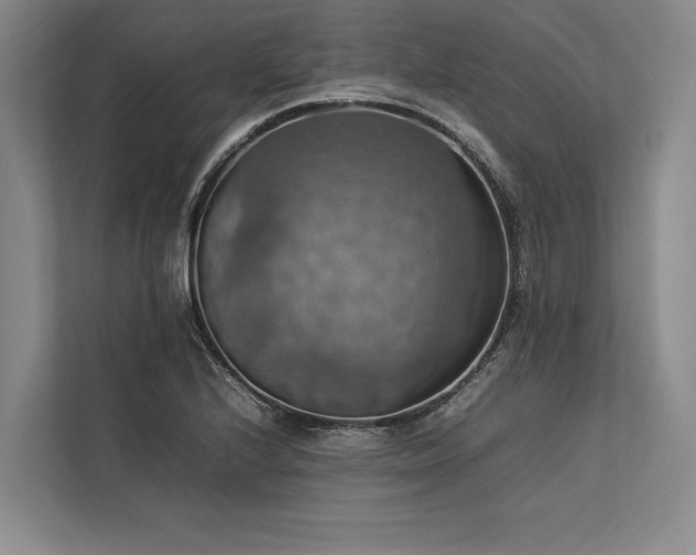 X0000113781224200909231309