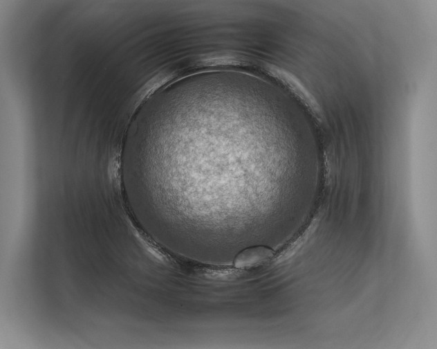 X0000113781225200909231309