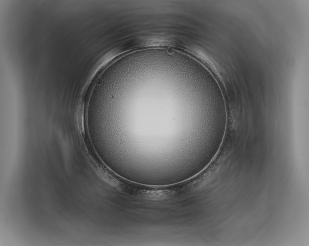 X0000113781227200909231309