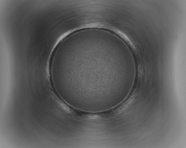X0000113781230200909231309