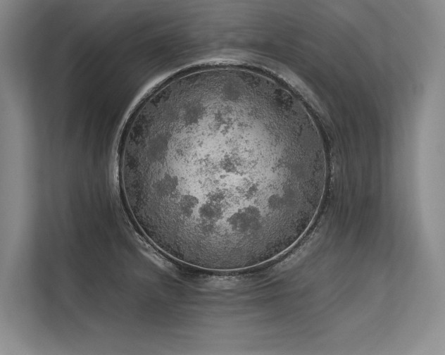 X0000113781232200909231309