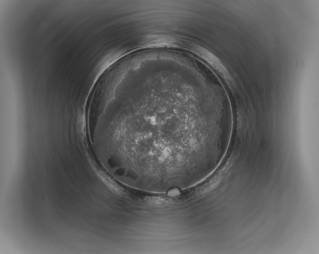 X0000113781234200909231309