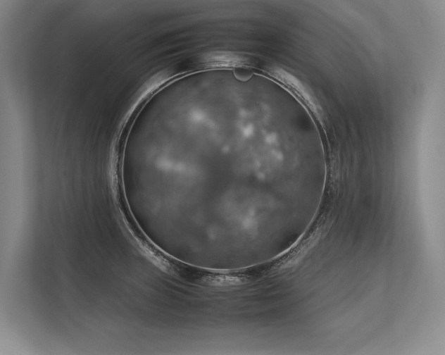 X0000113781235200909231309