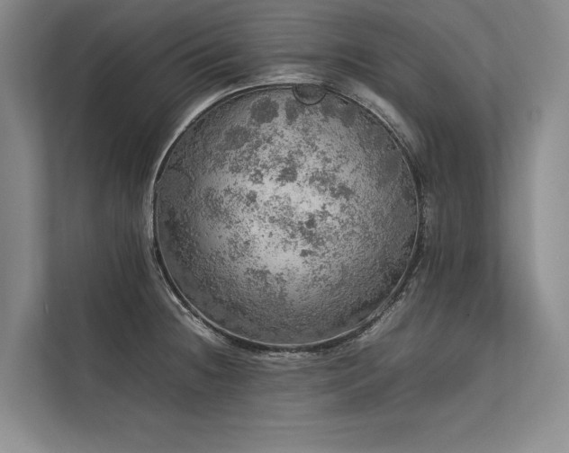X0000113781236200909231309