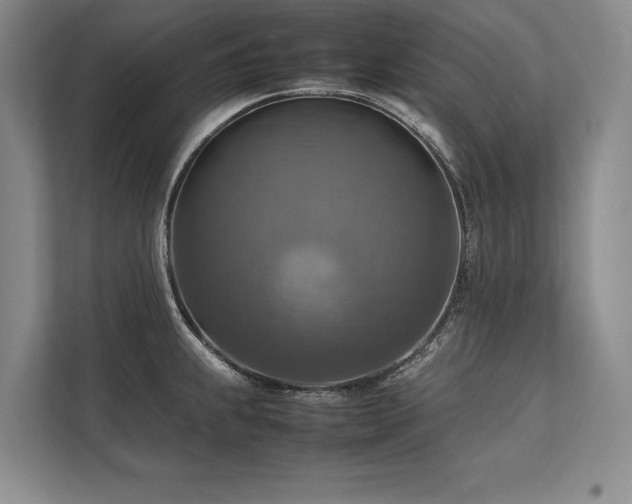 X0000113781239200909231309