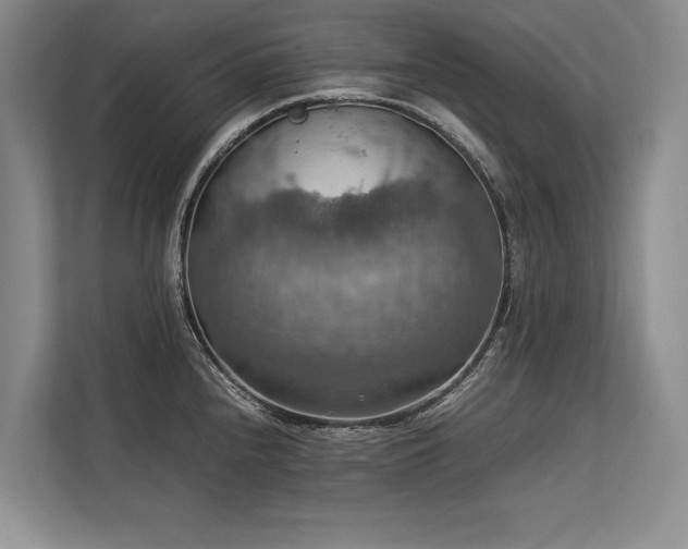X0000113781240200909231309