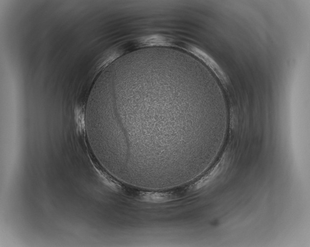 X0000113781241200909231309