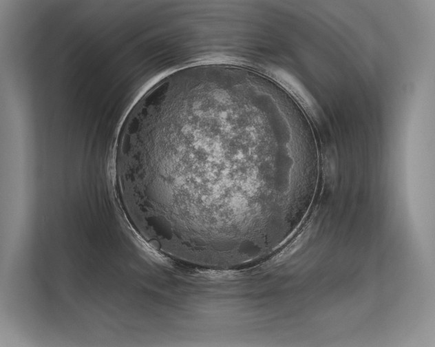 X0000113781244200909231309