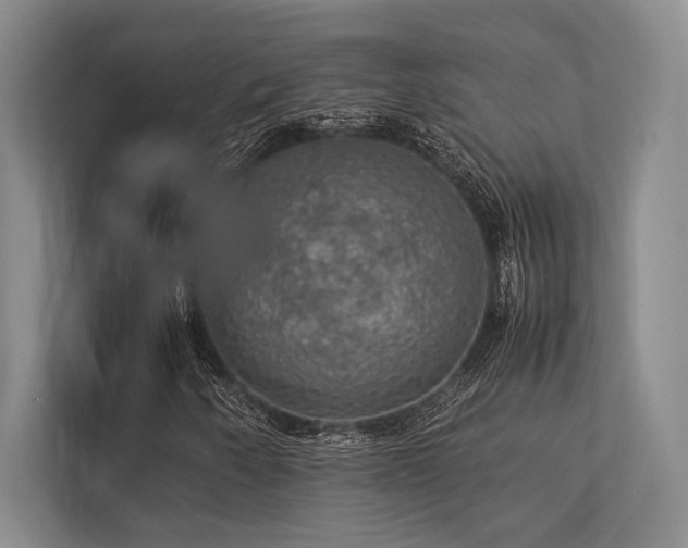 X0000113781250200909231308