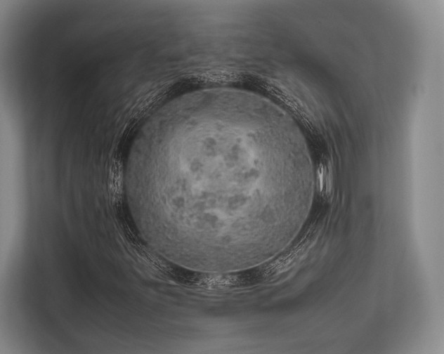 X0000113781251200909231308