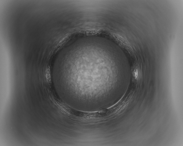 X0000113781252200909231308