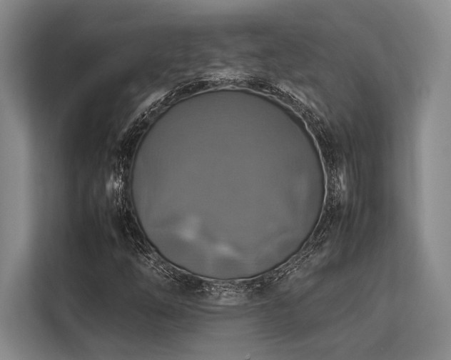 X0000113781254200909231308