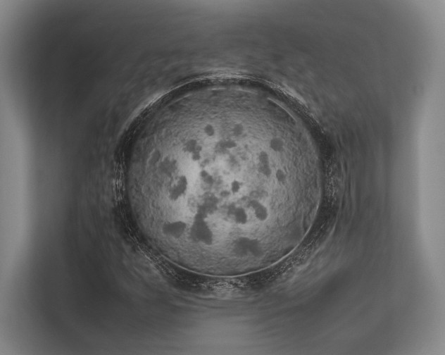 X0000113781255200909231308
