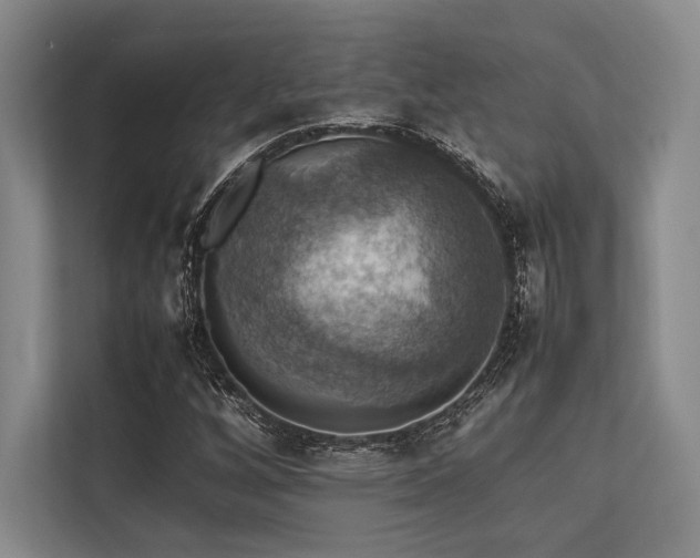 X0000113781256200909231308