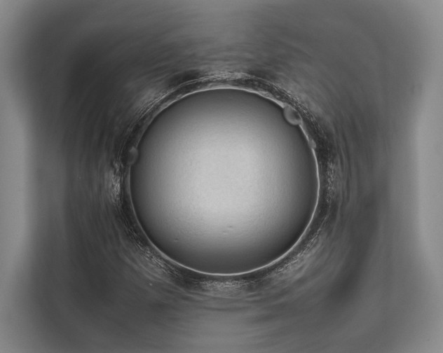 X0000113781257200909231308