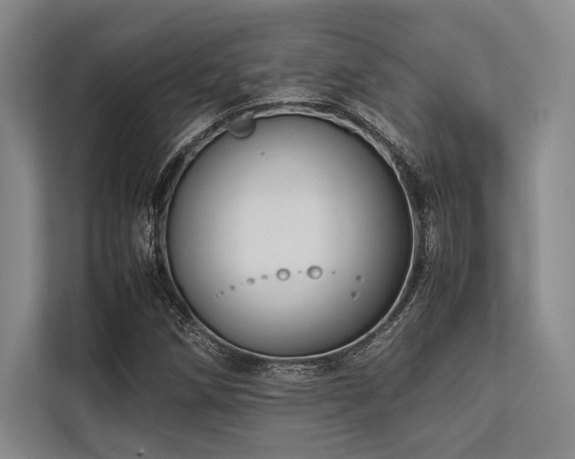 X0000113781258200909231308