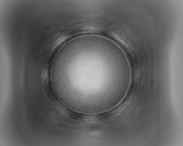 X0000113781259200909231308