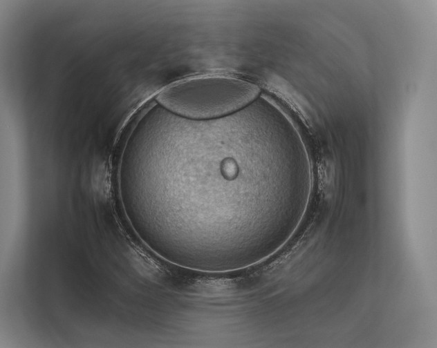 X0000113781260200909231308