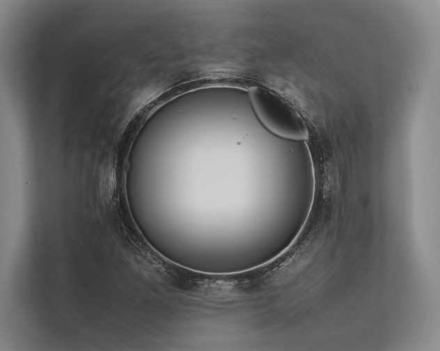 X0000113781261200909231308