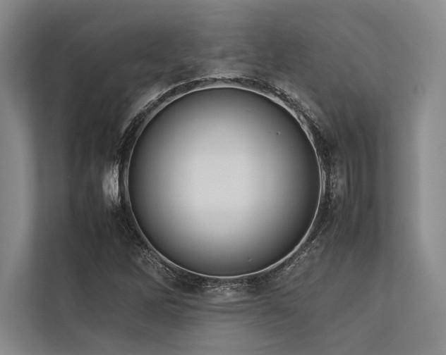 X0000113781262200909231308