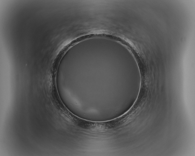 X0000113781263200909231308