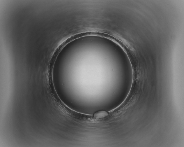 X0000113781264200909231308
