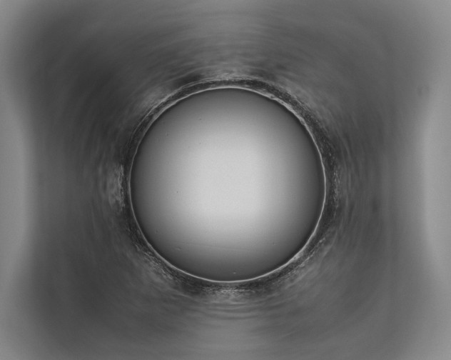 X0000113781265200909231308