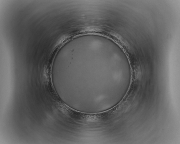 X0000113781266200909231308