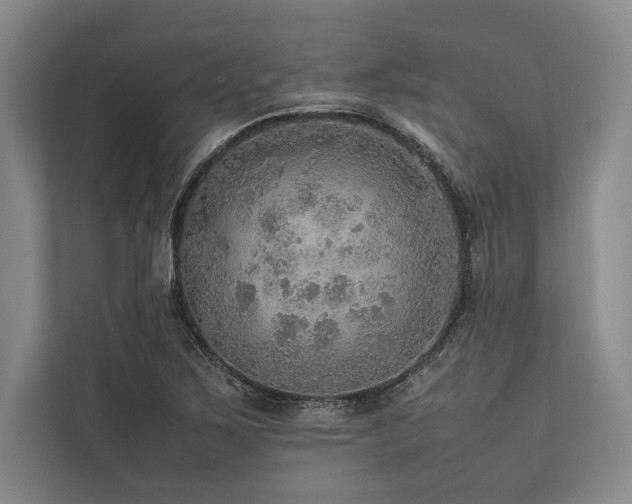 X0000113781267200909231308