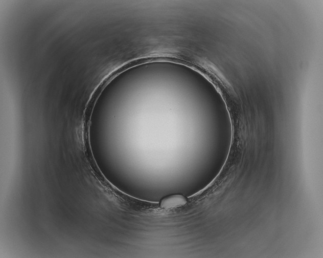 X0000113781268200909231308