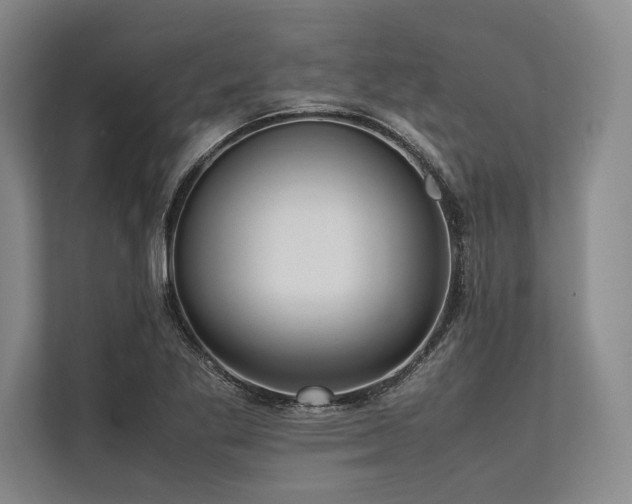 X0000113781269200909231308