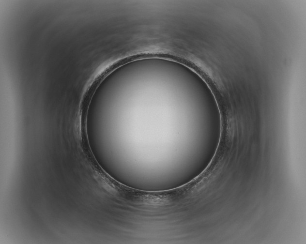 X0000113781270200909231308