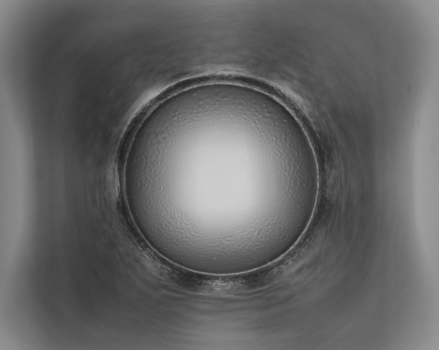 X0000113781271200909231308